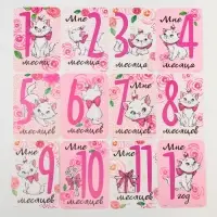 Карточки для фотосессии, 18 штук, Коты аристократы