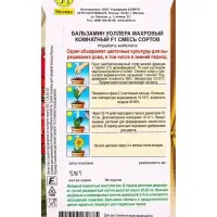 Семена цветов Бальзамин Махровый комнатный F1, смесь сортов Зимний сад, Ц/П,5 шт. Семена цветов Бальзамин Махровый комнатный F1, смесь сортов Зимний сад, Ц/П,5 шт.