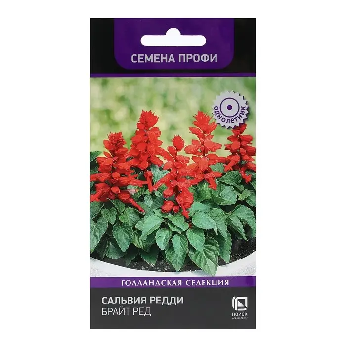 Семена цветов Сальвия Редди   Семена цветов Сальвия Редди  "Брайт Ред"  10 шт