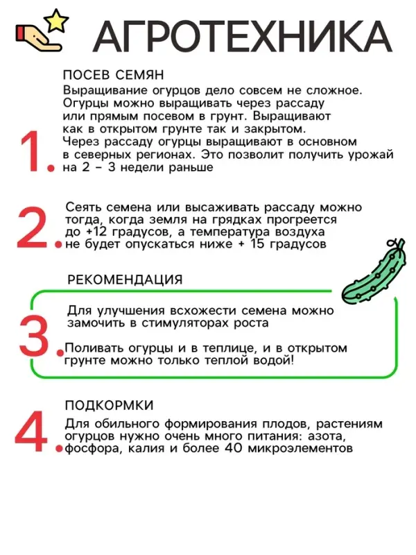 Семена Огурец Пилигрим, F1, 12шт