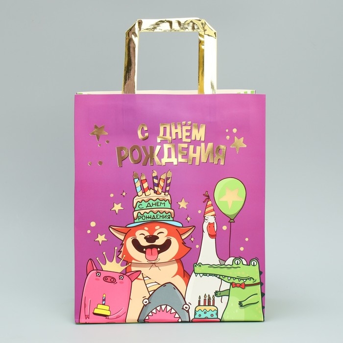 Пакет подарочный, упаковка, &laquo;С Днём рождения!&raquo;, ML 23 х 27 х 11.5 см