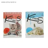 Блокнот А6, 40 листов на гребне "Котята", обложка картон, блок офсет 55г/м2, 5 видов микс