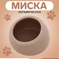 Миска для грызунов, 30 мл, 5.7&times;5.7&times;3.5 см, со скошенным краем, керамика, серая