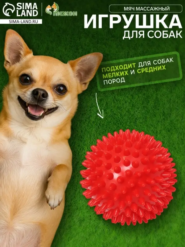 Игрушка для собак &laquo;Мяч массажный&raquo;, 6.8 см, пластикат, цвет МИКС