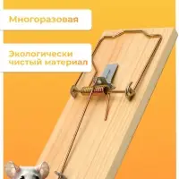 Крысоловка, 17&times;8 см, дерево, Greengo