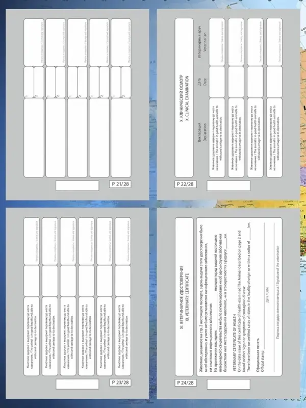 Ветеринарный паспорт международный &laquo;Усы и хвосты&raquo;, 28 страниц