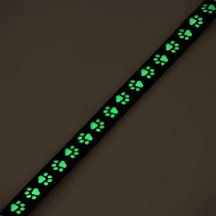 Ошейник кошачий &laquo;Душечка&raquo; светящийся, с бубенчиком, 30&times;1 см, полиэстер, черный