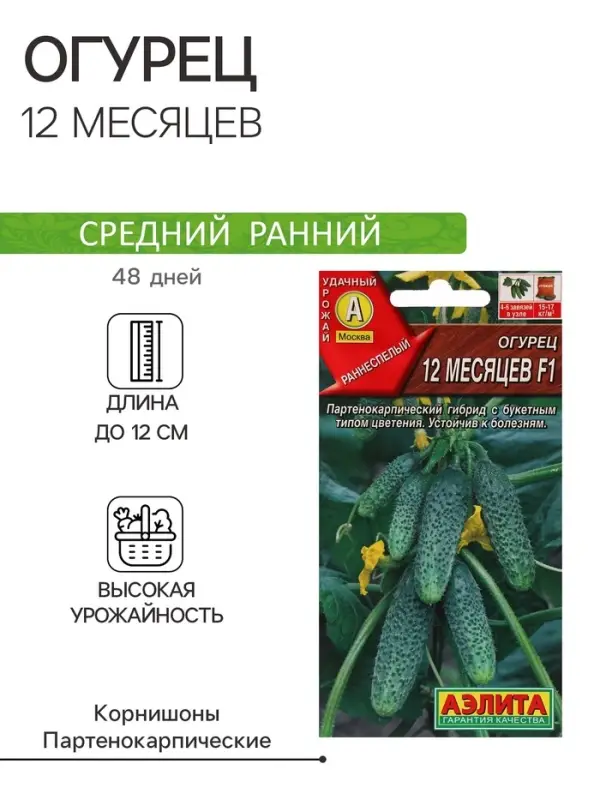 Семена огурца  Семена огурца "12 месяцев", F1, 10 шт.