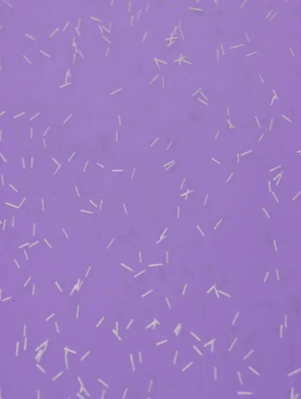 Пленка для цветов &laquo;Звездная ночь&raquo;, светло голубой, 0.57&times;5 м &plusmn;5% см