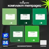 Тетради 10 штук, 24 листа в клетку &laquo;Однотонная Новая&raquo;, обложка мелованная бумага, ВД-лак, блок офсет, 5 видов по 2 шт.