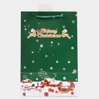 Пакет подарочный ламинированный с окном &laquo;Новый год&raquo; тиснение, 30&times;20&times;16 см, зеленый