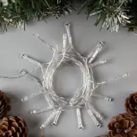 Гирлянда &laquo;Нить&raquo; 2 м, IP20, прозрачная нить, 20 LED, свечение белое, 2 режима, AAх3