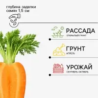 Семена Морковь &laquo;Красный великан Роте Ризен&raquo;, драже, 300 шт., &laquo;Росток-гель&raquo;