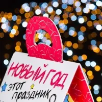 Подарочная коробка «Снегири», 17.2×9.5×24 см