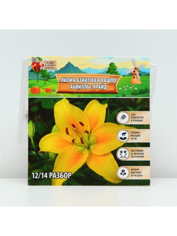 Лилия Азиатская Кашпо "Abbeville's Pride", луковица в пакете с перфорацией, р-р 12/14, 2 шт.