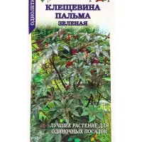 Семена Клещевина Пальма зеленая занзибарская /Сотка/ 3шт/ h-250см/*500 Семена Клещевина Пальма зеленая занзибарская /Сотка/ 3шт/ h-250см/*500