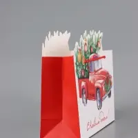 Пакет подарочный &laquo;Спешу к тебе&raquo;, 30&times;19.4&times;10 см