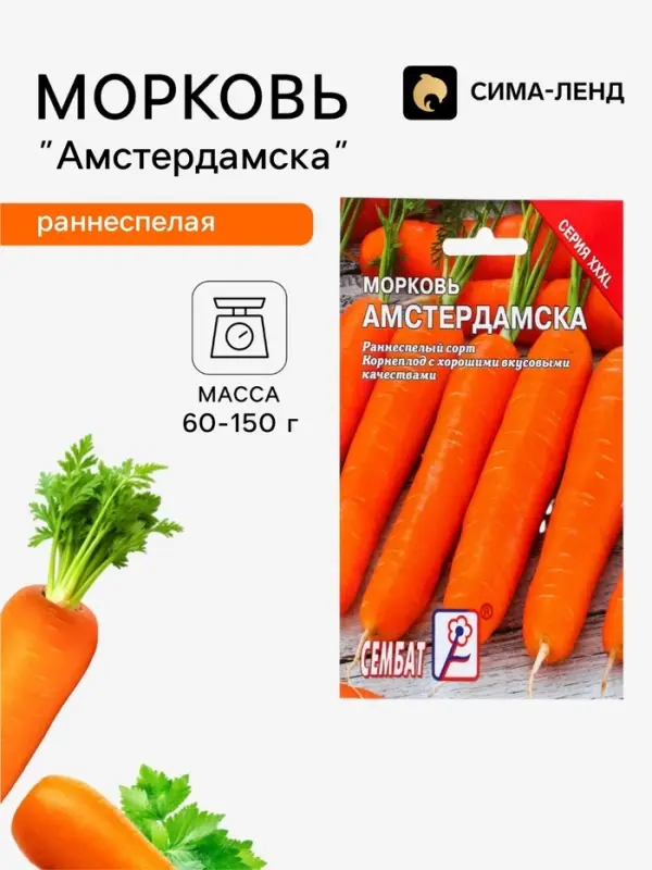 Семена Морковь &laquo;Амстердамка&raquo;, XXXL, &laquo;Сембат&raquo;, 10 г