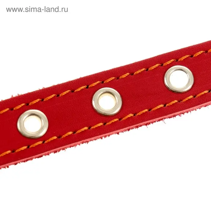 Ошейник кожаный однослойный безразмерный, 45&times;2 см, ОШ 18-39 см, красный