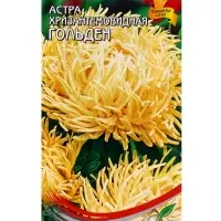 Семена цветов Астра хризант.Гольден 85 шт