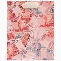 Пакет подарочный &laquo;Деньги&raquo;, 12&times;15&times;5.5 см