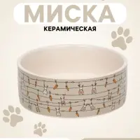 Миска &laquo;Кроличьи игрушки&raquo;, 300 мл, 11.5&times;5 см, керамика, бело-серая
