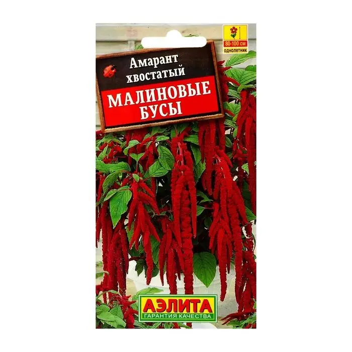 Семена цветов Амарант  Семена цветов Амарант "Малиновые бусы", О, 0,2 г