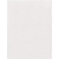 Полотенца бумажные д/дисп. Focus SMART Z-сл 1сл 250л 12пач/уп_5103005