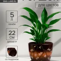 Горшок цветочный &laquo;Миндаль&raquo;, 5 л, d=22 см, h=22 см, керамический, с поддоном, коричневый