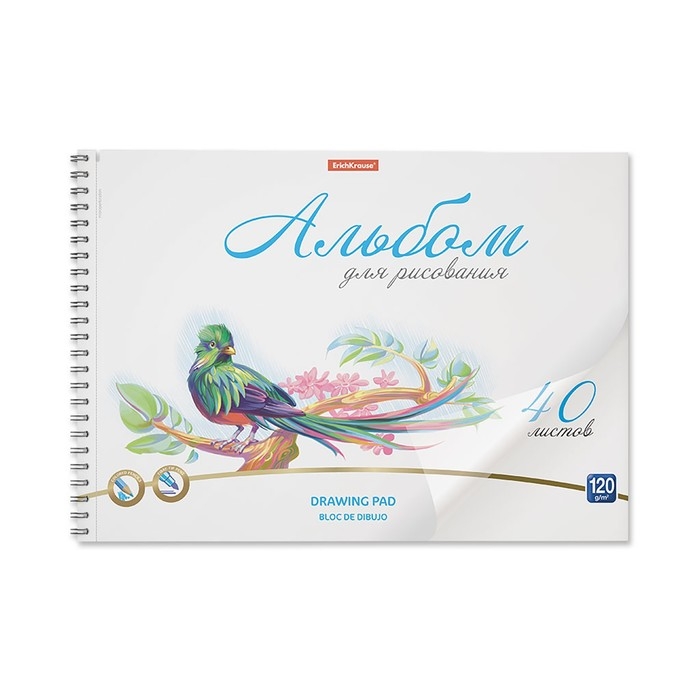 Альбом для рисования А4, 40 листов, блок 120 г/м&sup2;, на спирали, Erich Krause "Birds", пластиковая обложка, 100% белизна, перфорация на отрыв, твердая подложка