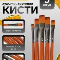 Набор кистей для рисования, синтетика, 5 штук: № 2, 4, 6, 8, 10, плоские, в блистере, международный размер