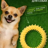 Плавающая игрушка для собак Пижон Premium &laquo;Колючки&raquo;, 11 см, вспененный TPR, жёлтая