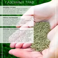 Газонная травосмесь &laquo;Засухоустойчивая&raquo;, 1 кг