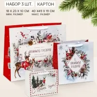 Пакет подарочный, набор &laquo;Новогодняя открытка&raquo;