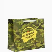 Пакет подарочный вертикальный &laquo;23 февраля&raquo;, ML 23&times;27&times;11.5 см