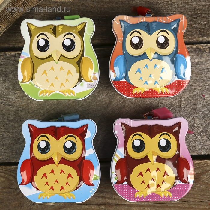 Копилка для денег с замком и ключом «Маленький совёныш», метал, 8.5×9×4.5 см, МИКС Копилка для денег с замком и ключом «Маленький совёныш», метал, 8.5×9×4.5 см, МИКС