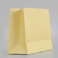 Пакет подарочный, ламинированный, горизонтальный, &laquo;Молочный&raquo;, 28&times;20&times;10 см