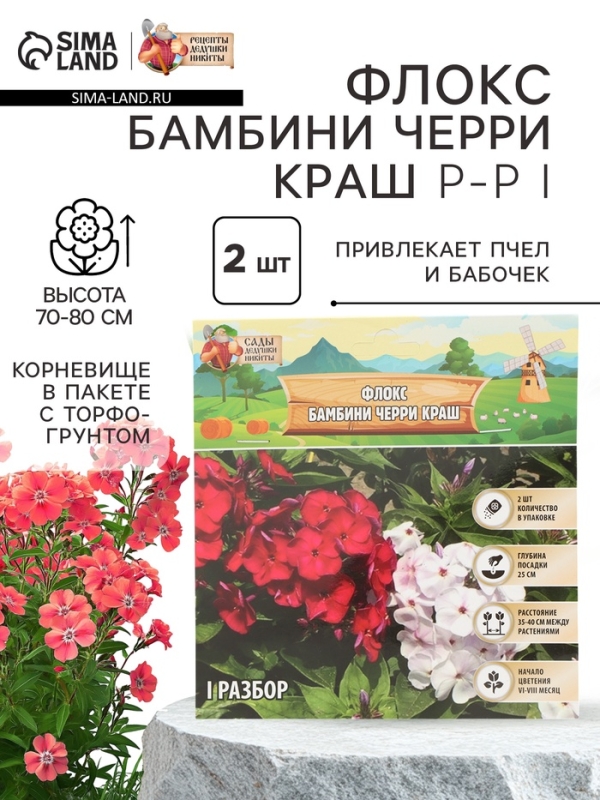 Флокс «Бамбини Черри Краш» корневище в пакете с торфогрунтом, р-р I, 2 шт.