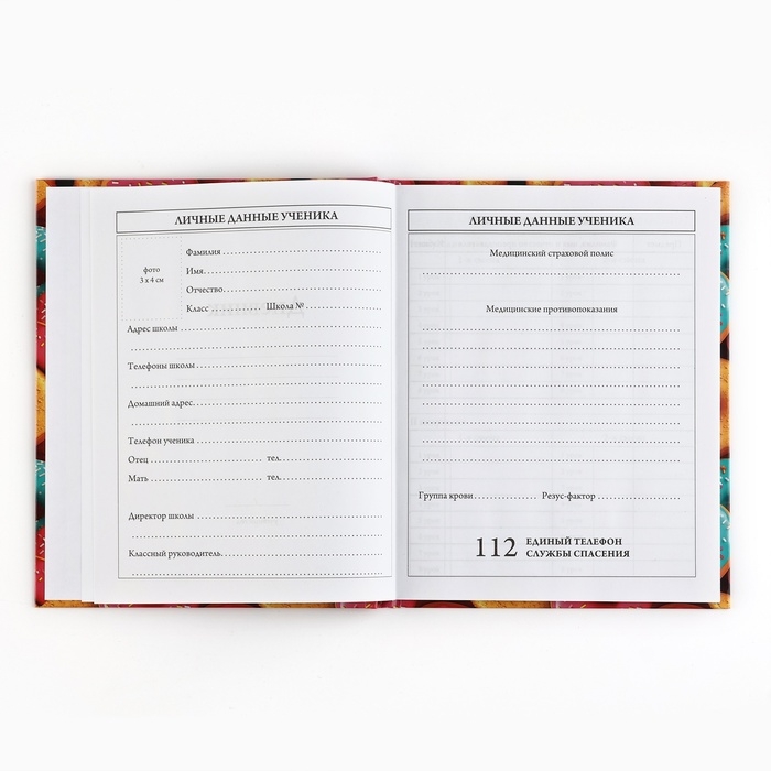 Дневник школьный 5-11 класс, в твердой обложке, 48 л. «Пончики» Дневник школьный 5-11 класс, в твердой обложке, 48 л. «Пончики»