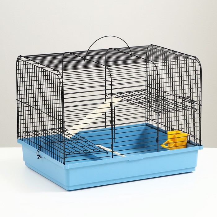 Клетка для грызунов Клетка для грызунов "Сеня 2-1", 50 x 37 x 37 см, микс цветов