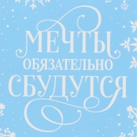 Пакет под бутылку, треугольный «Мечты», 13 х 32 х 11.3 см, Новый год