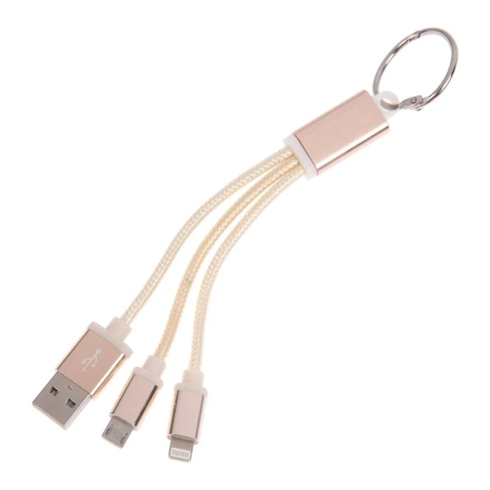 Кабель 2 в 1 Luazon, microUSB/Lightning - USB, 1 А, в виде брелка, золотистый Кабель 2 в 1 Luazon, microUSB/Lightning - USB, 1 А, в виде брелка, золотистый