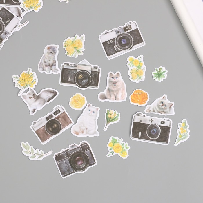 Наклейки для творчества Наклейки для творчества "Коты, жёлтые цветы и фото" 3,5х5 см набор 40 шт 9,4х8,4х0,5 см