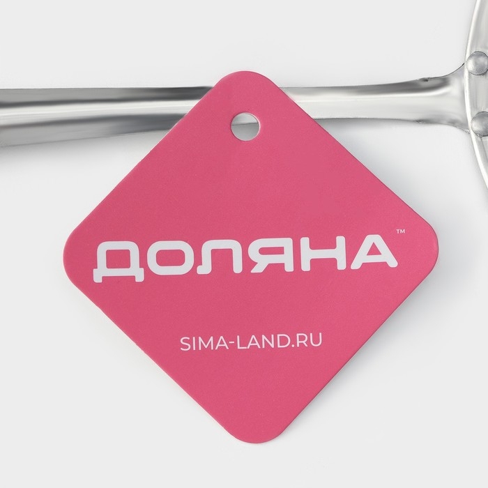 Сито для снятия пены из нержавеющей стали Доляна «Металлик», 26×10 см Сито для снятия пены из нержавеющей стали Доляна «Металлик», 26×10 см