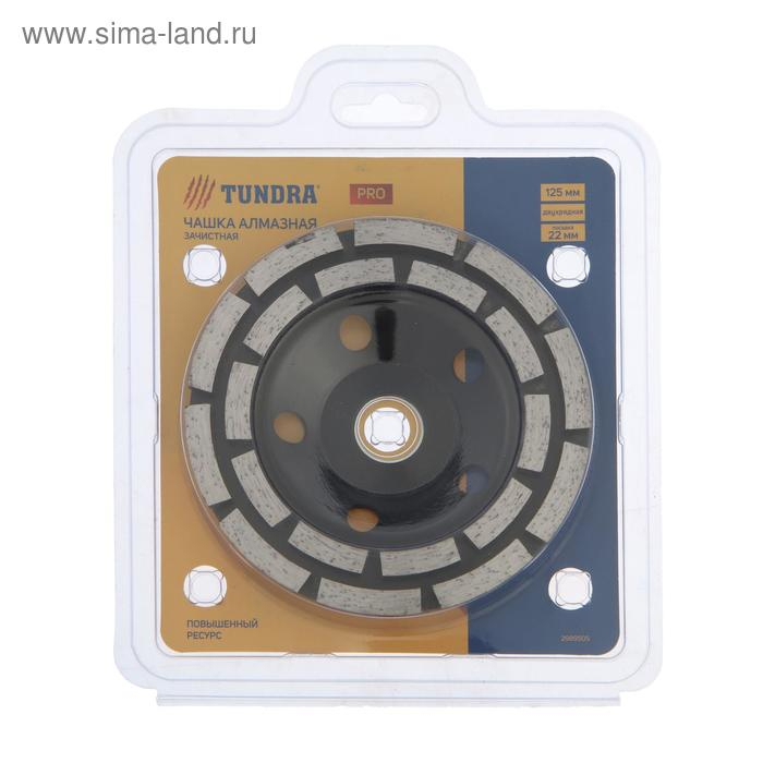 Чашка алмазная зачистная ТУНДРА ПРОФИ, повышенный ресурс, двухрядная, 125 мм Чашка алмазная зачистная ТУНДРА ПРОФИ, повышенный ресурс, двухрядная, 125 мм