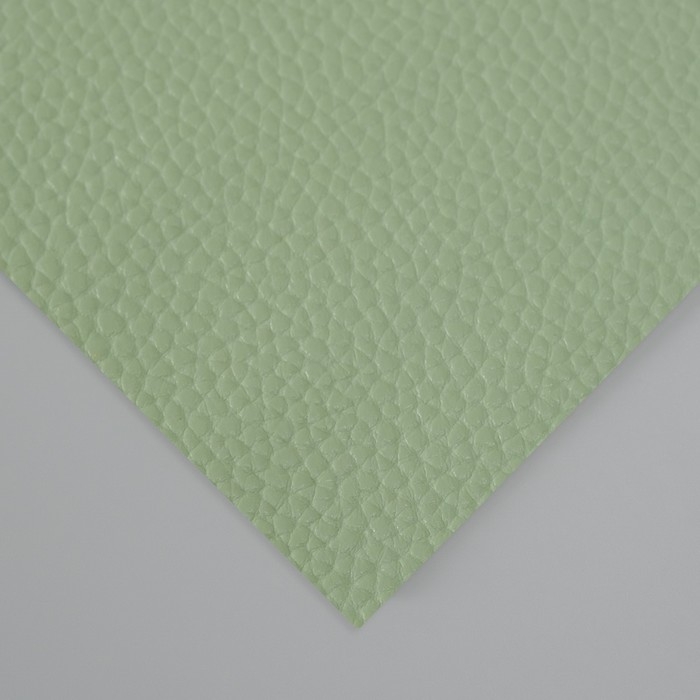 Лист для творчества иск.кожа Лист для творчества иск.кожа "Рисунок Личи" светло-зелёный лист 33х20 см толщина 1 мм