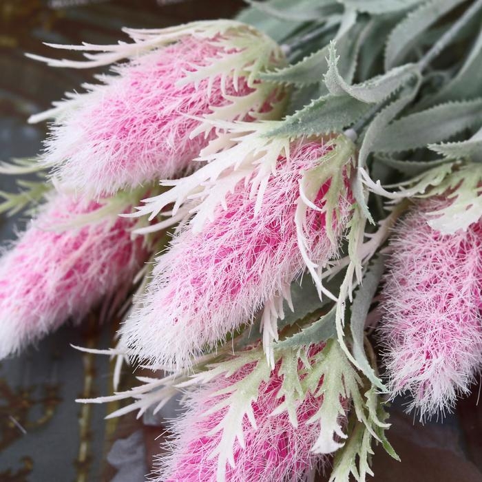 Букет Букет "Альбиция" 32 см, микс