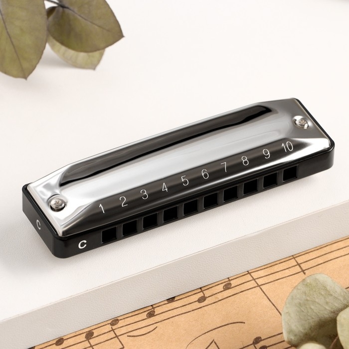 Губная гармошка Music Life T002 C диатоническая, 10 отверстий, с футляром Губная гармошка Music Life T002 C диатоническая, 10 отверстий, с футляром