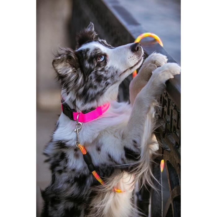 Поводок круглый Поводок круглый "Волна", 120 х 1 см, салатово-розовый неон