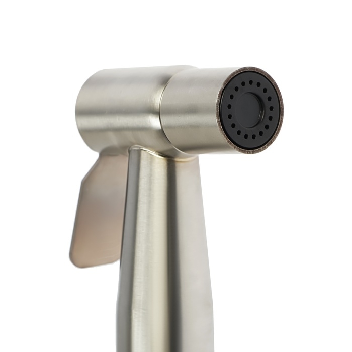 Гигиеническая лейка ZEIN Z4162, 1 режим, нержавеющая сталь, цвет сатин Гигиеническая лейка ZEIN Z4162, 1 режим, нержавеющая сталь, цвет сатин